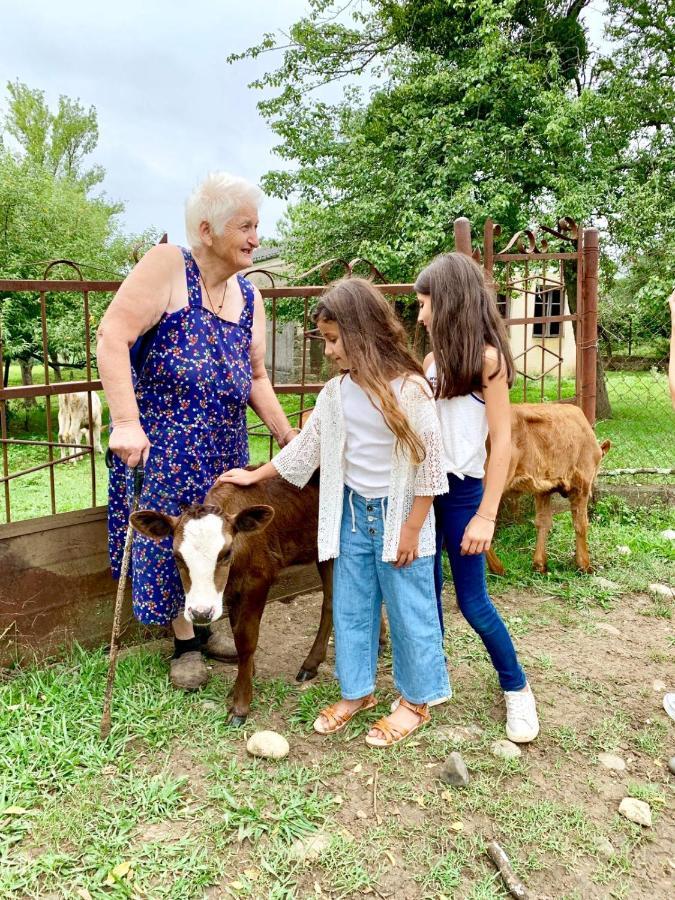 Tskaltubo Village - Nature Resort מראה חיצוני תמונה