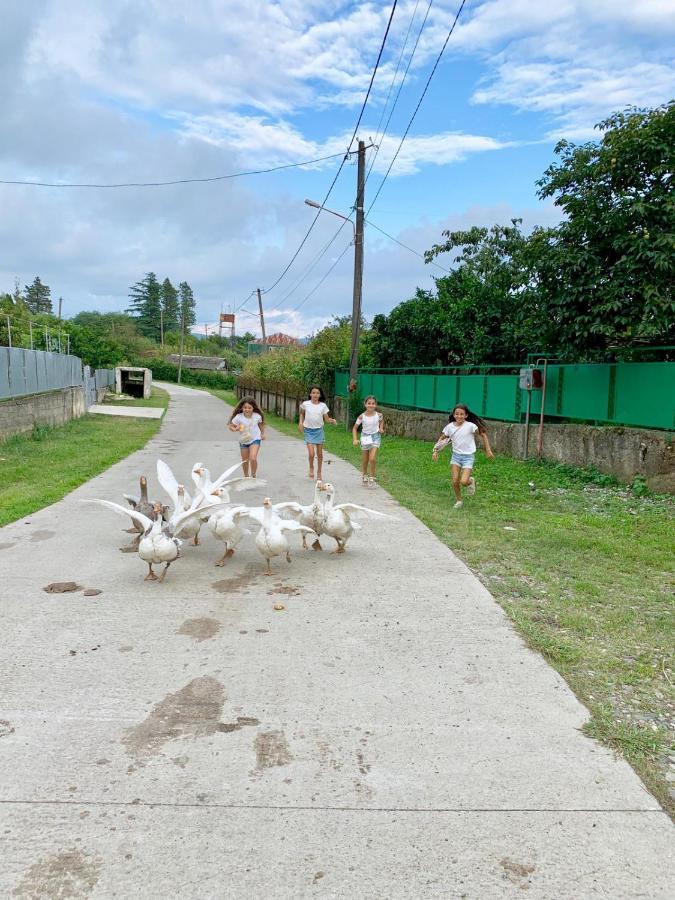 Tskaltubo Village - Nature Resort מראה חיצוני תמונה